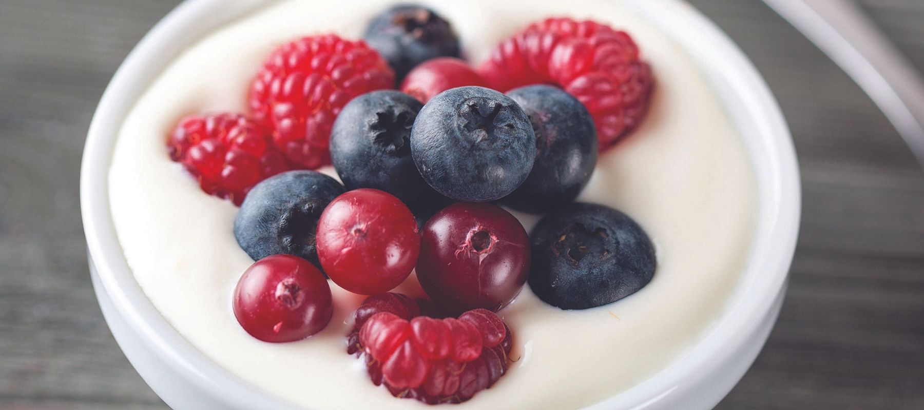 Mixed Berry Yoghurt Recipes Crockpot®